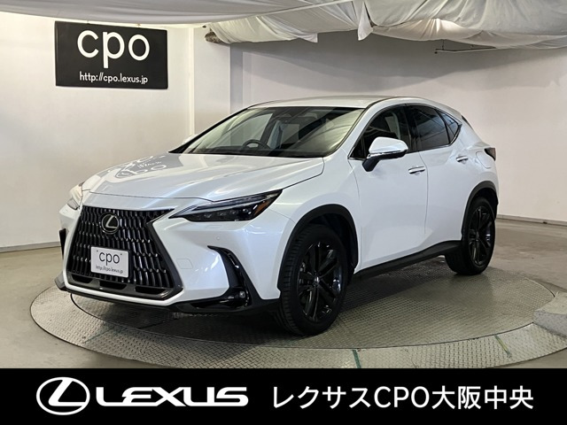 NX250 バージョンL