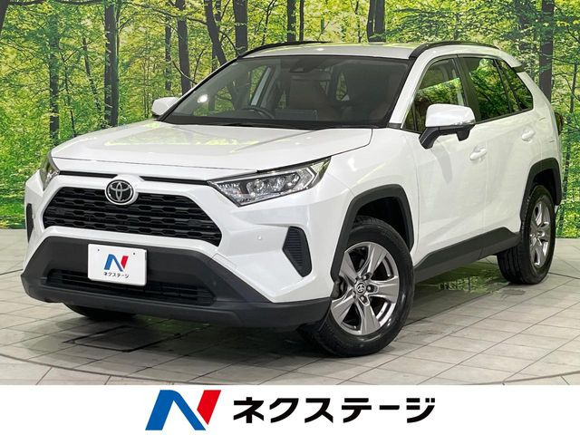 RAV42.0 X
