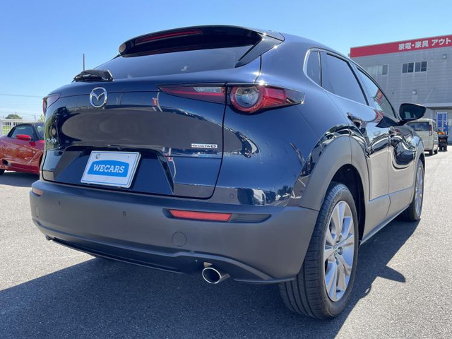 CX-301.8 XD Lパッケージ