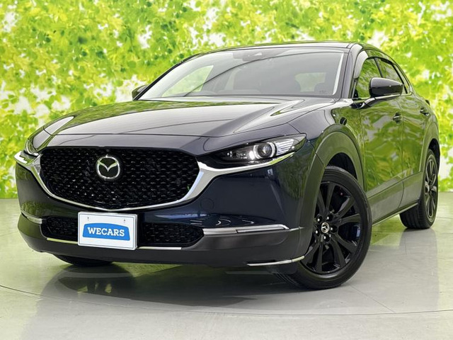 CX-302.0 20S ブラックトーンエディション