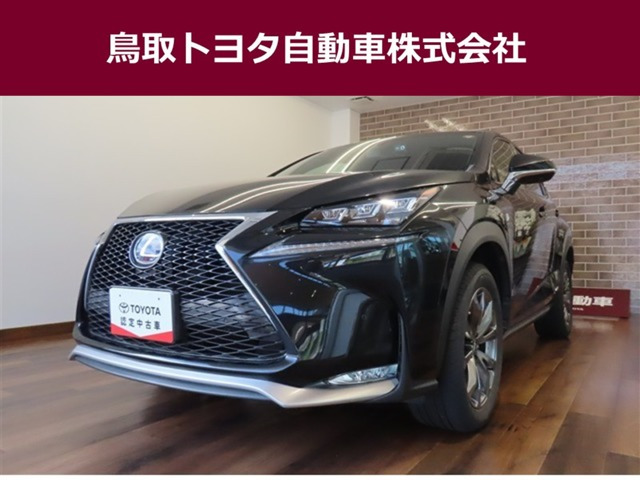 NX300h Fスポーツ