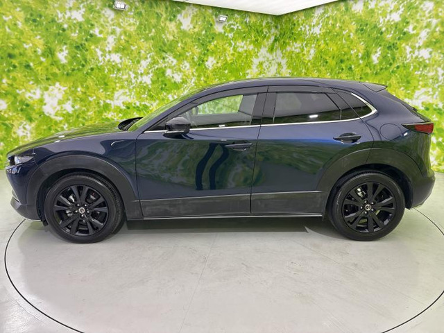 CX-302.0 20S ブラックトーンエディション