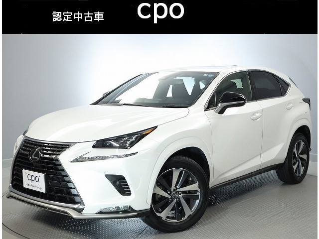 NX300
