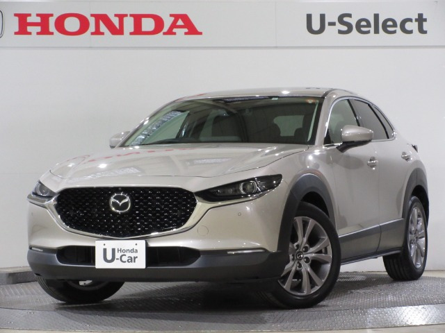 CX-302.0 20S プロアクティブ