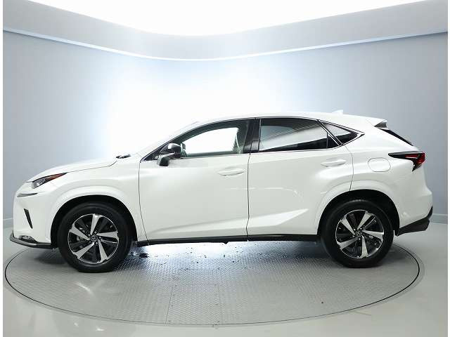 NX300