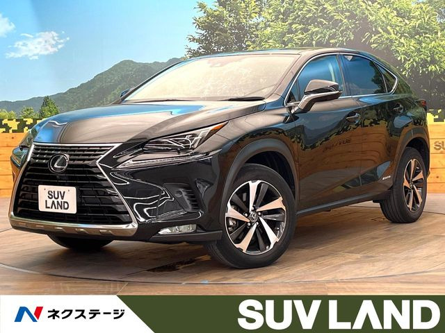 NX300h バージョンL