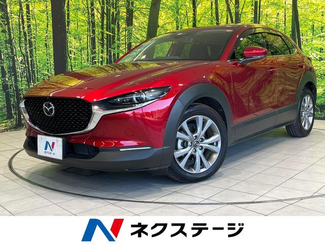 CX-302.0 20S プロアクティブ ツーリングセレクション