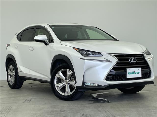 NX300h バージョンL