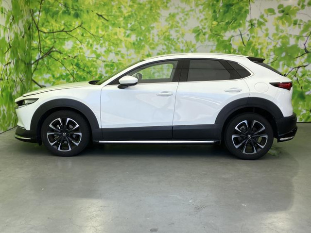 CX-301.8 XD プロアクティブ ツーリングセレクション
