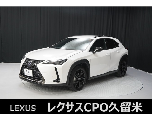 UX250h