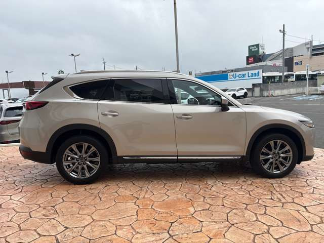 CX-8