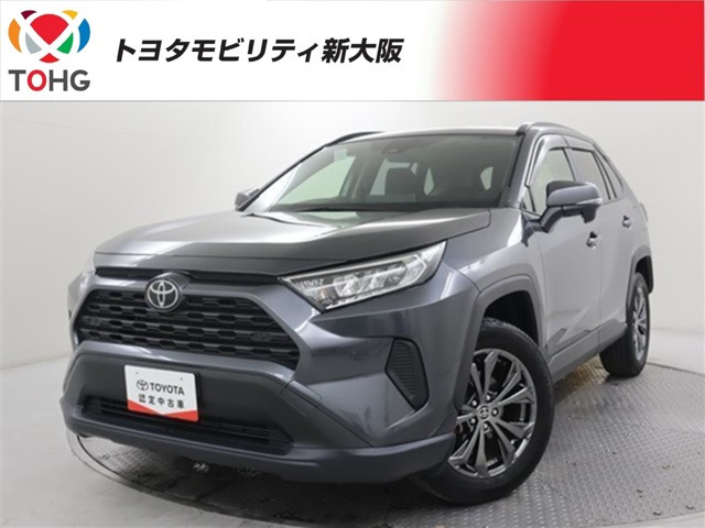 RAV42.0 X