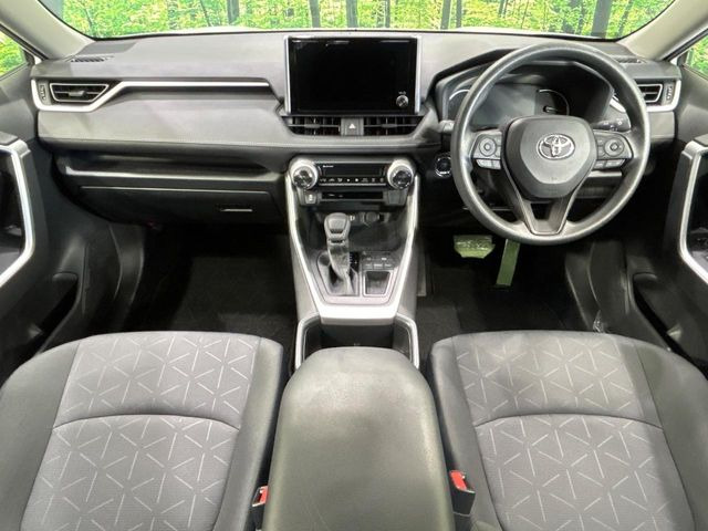 RAV42.0 X
