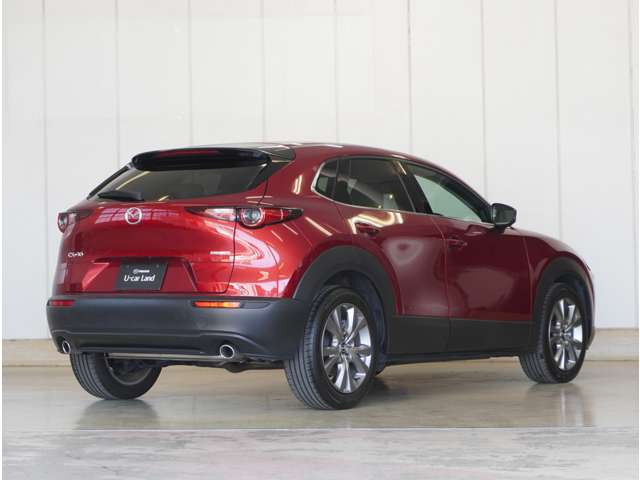 CX-301.8 XD Lパッケージ