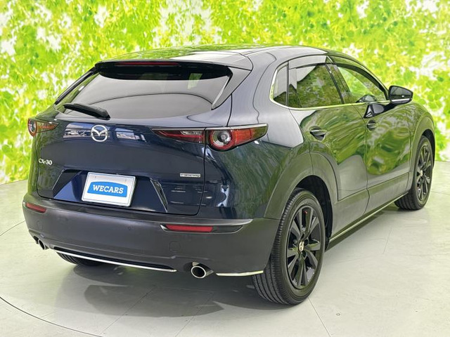 CX-302.0 20S ブラックトーンエディション