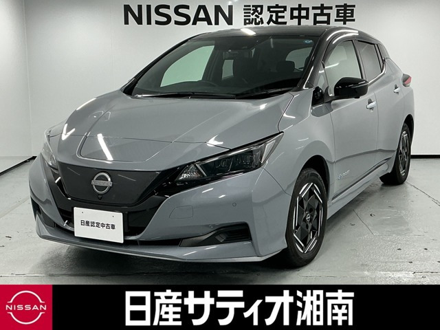 リーフe+ X