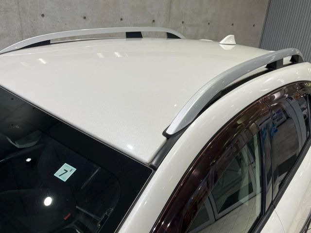 XV