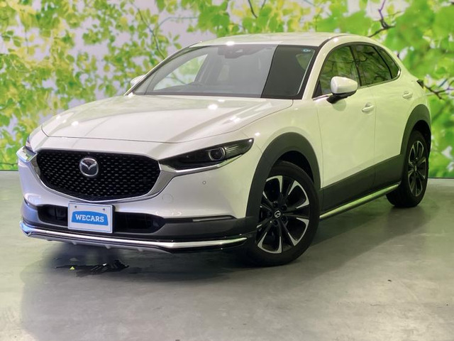 CX-301.8 XD プロアクティブ ツーリングセレクション