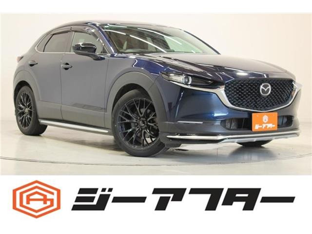 CX-302.0 20S