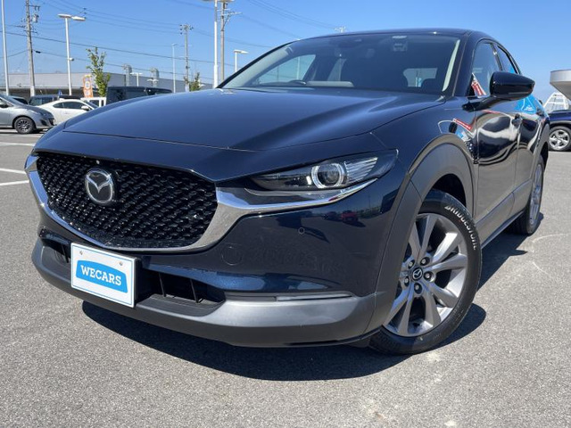 CX-301.8 XD Lパッケージ