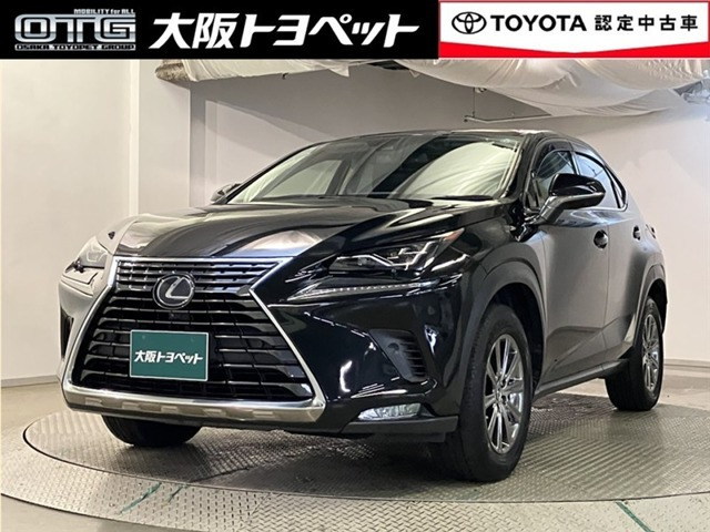NX300h Iパッケージ