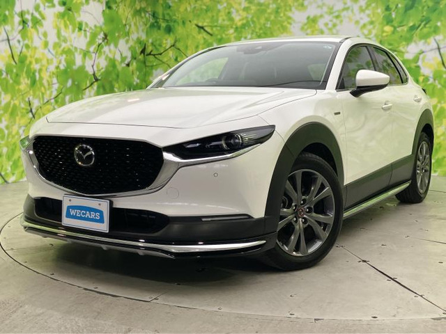 CX-301.8 XD 100周年特別記念車