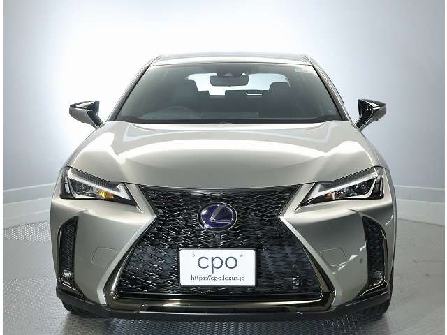 UX250h Fスポーツ