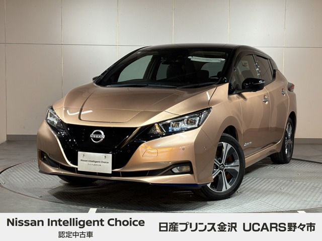 リーフe+ G