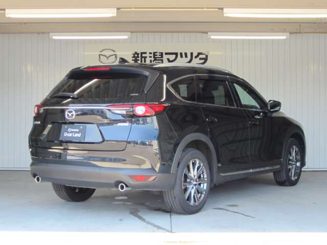 CX-8