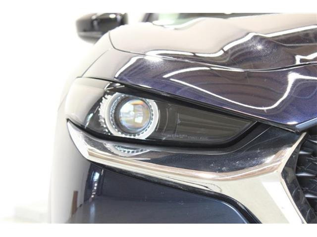 �ቿ�i�ŗǎ��Ȃ��Ԃ�S�Б���3,000�݌ɂ��炨�I�т��������܂��B�c�Ǝ��� 10:00�`19:00