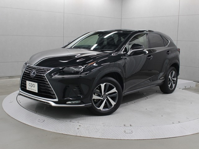NX300h