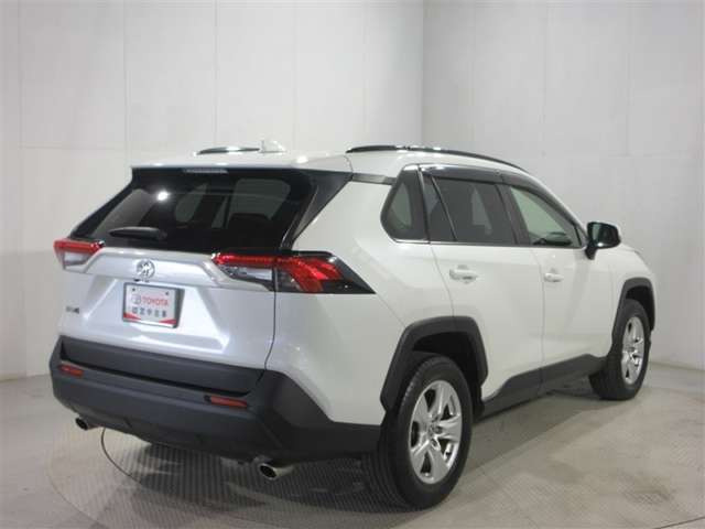 RAV42.0 X