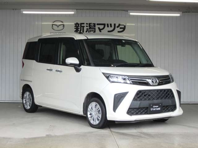 ルーミー1.0 G