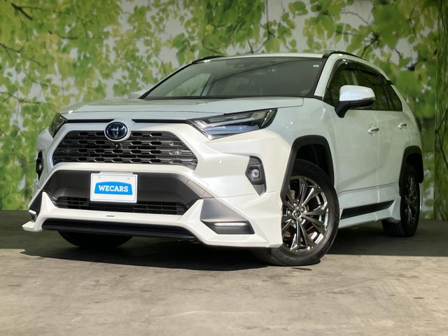 RAV42.5 ハイブリッド G E-Four 4WD