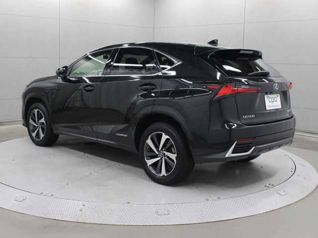 NX300h