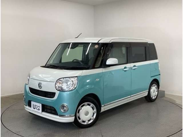 ムーヴキャンバスG メイクアップ SAIII