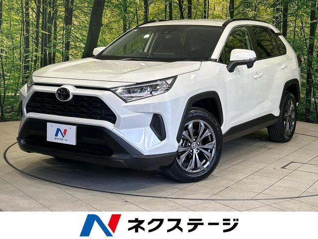 RAV42.0 X