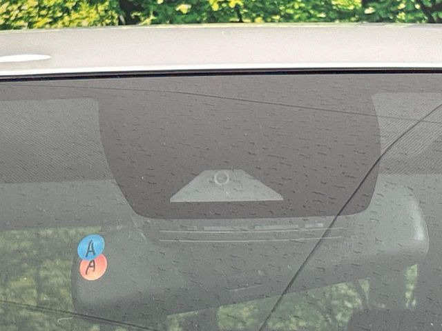 RAV42.0 X