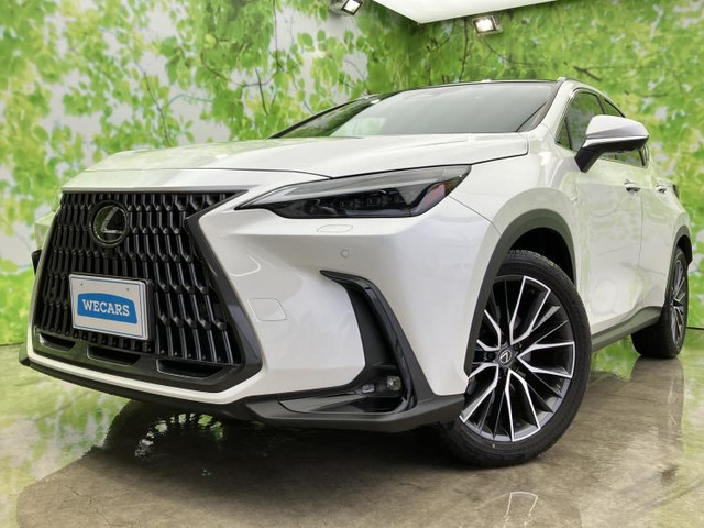 NX250 バージョンL