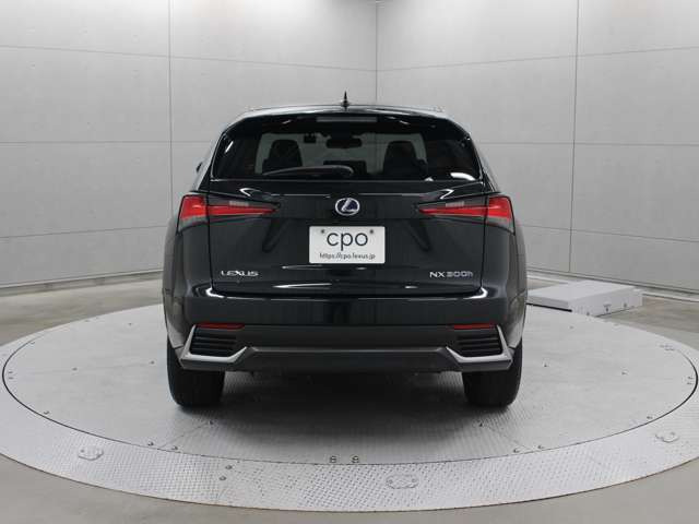 NX300h