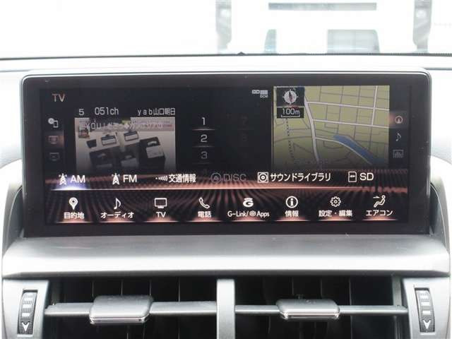 NX300
