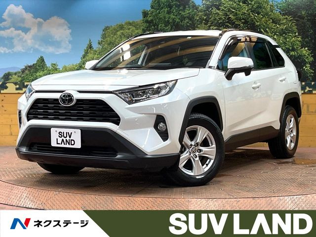 RAV42.0 X