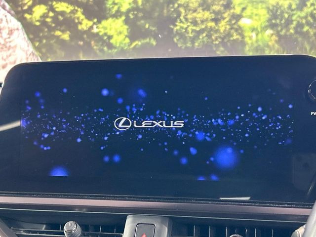 UX250h バージョンC