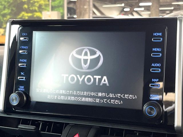 RAV42.0 X