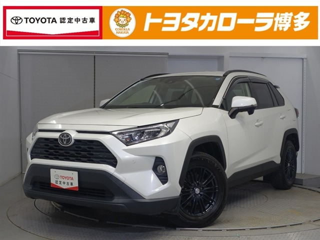 RAV42.0 X