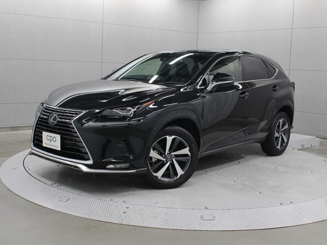 NX300