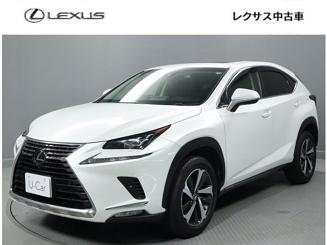 NX300 Iパッケージ