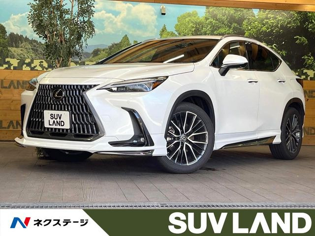 NX350h バージョンL