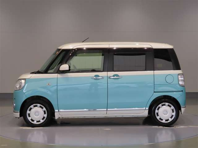 ムーヴキャンバスG メイクアップ SAIII