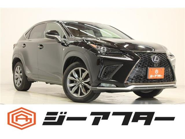NX300h Fスポーツ 4WD
